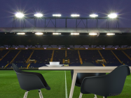 Фотошпалери стадіон з людьми - 1