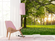 Фотошпалери поляна - 4