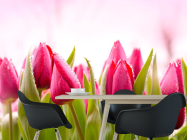 Фотошпалери Рожево-малинові тюльпани - 1