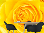 Фотошпалери Жовта троянда крупним планом - 1