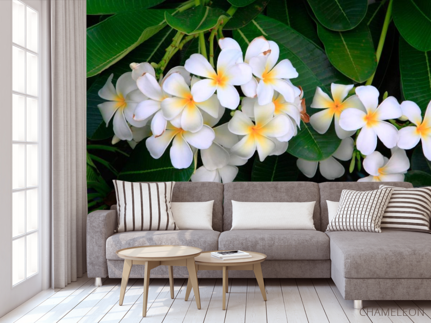 Фотообои Беленькие маленькие цветы - 3