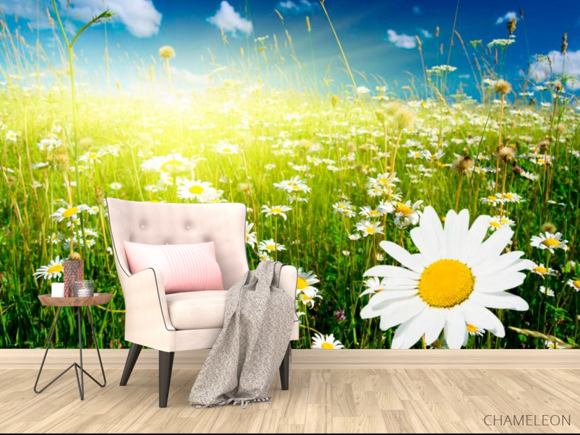 Фотообои Восход в ромашковом поле - 4