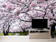 Фотообои деревья с белыми цветочками - 2