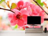 Фотообои Цветок яблони - 2