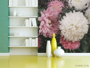 Фотошпалери Хризантеми з краплями дощу - 3