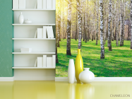 Фотошпалери Ліс, берези, сонце - 3