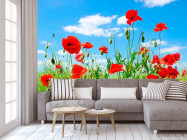 Фотообои Маки в степи - 3