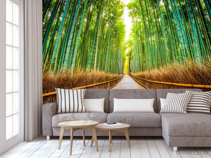 Фотообои Бамбуковая роща - 3