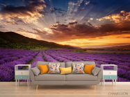 Фотообои закат над сиреневым полем - 1