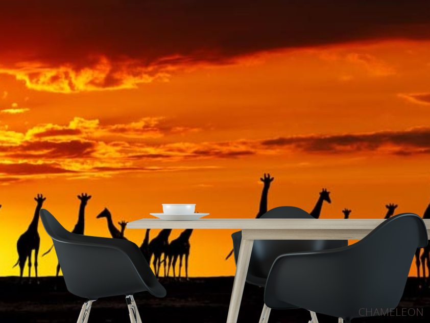 Фотошпалери багато жирафів і захід - 1