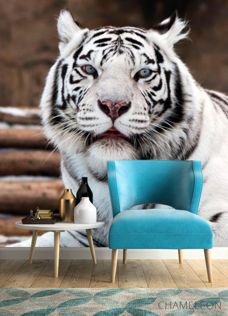 Фотообои Белый тигр - 4