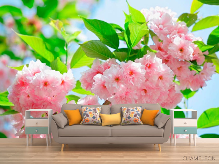 Фотообои Соцветие чайной розы - 1