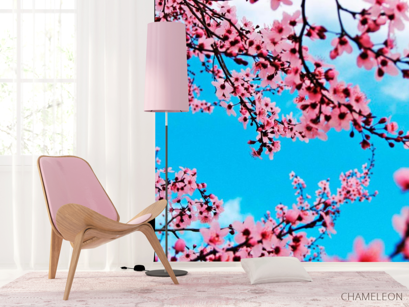 Фотошпалери Квітуча навесні вишня - 4
