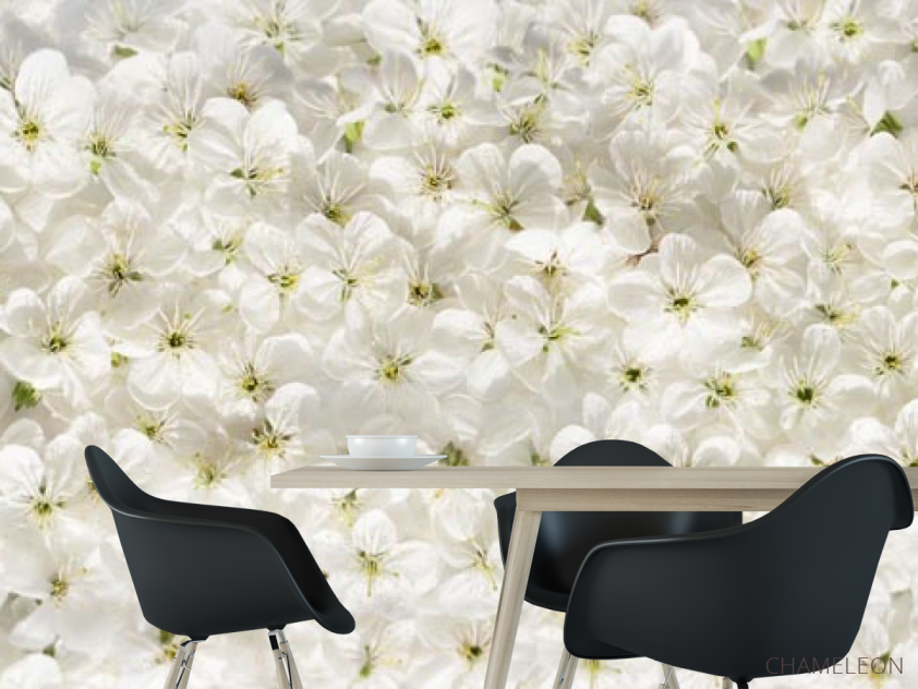 Фотошпалери білі квіти - 1