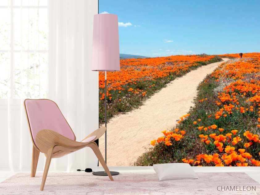 Фотошпалери Стежка, мак - 4