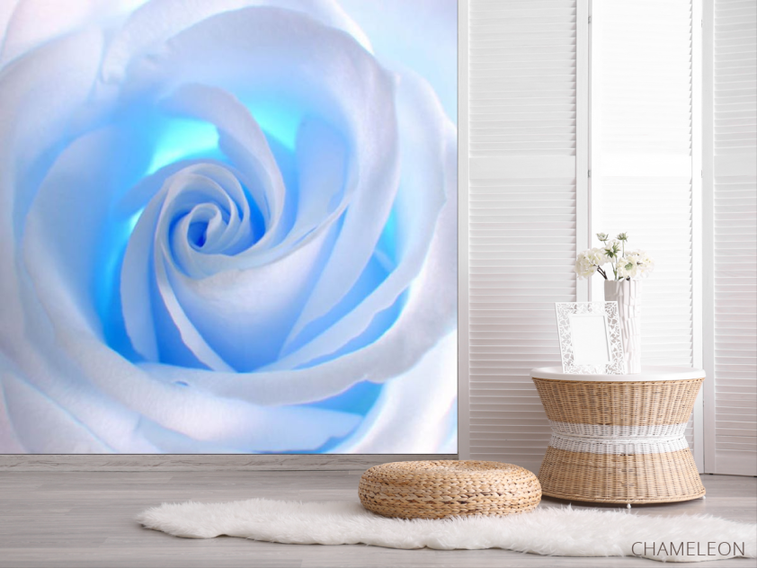 Фотошпалери троянда - 2