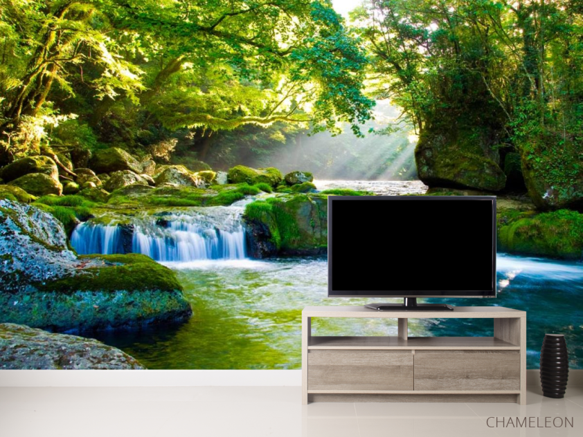 Фотообои Дивный уголок леса - 2