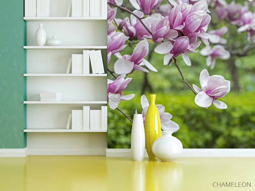 Фотошпалери ніжна магнолія - 3