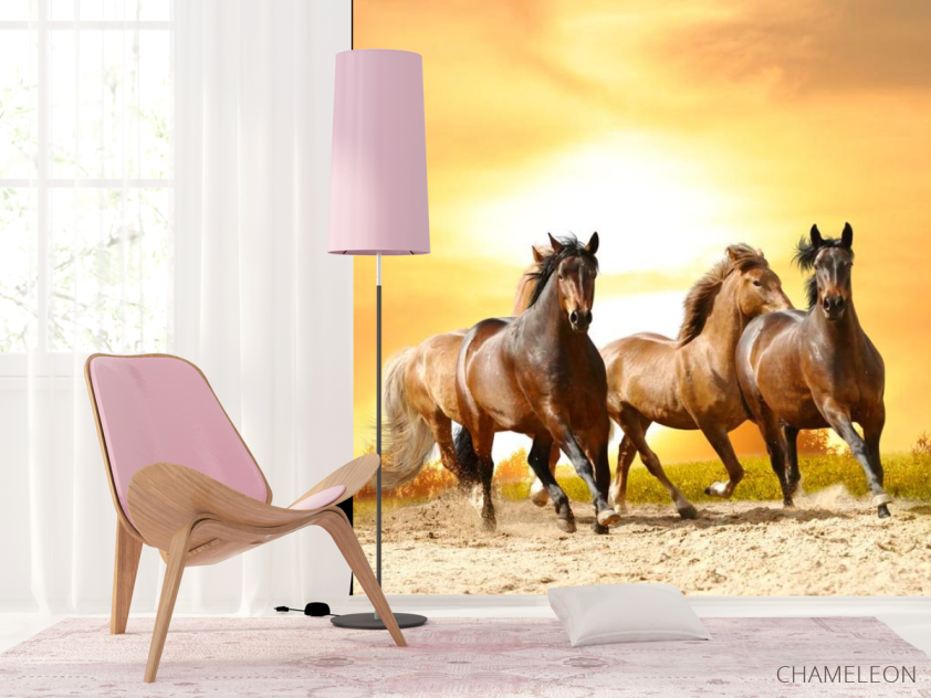 Фотошпалери Мустанги на прогулянці - 4