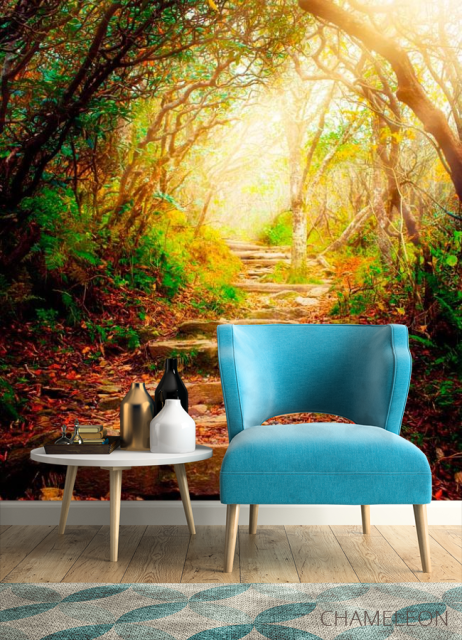 Фотообои Ступеньки, лес - 4