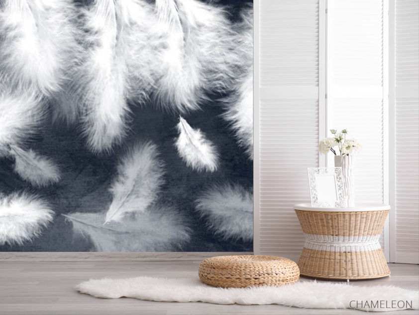 Фотошпалери біле пір'я на синьому тлі - 2