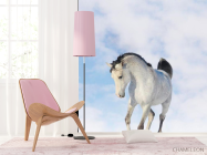 Фотошпалери Білий кінь - 4