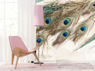 Фотошпалери Пір'я павича - 4