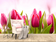 Фотообои Розово-малиновые тюльпаны - 4