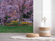 Фотошпалери пухнасте рожеве дерево - 2