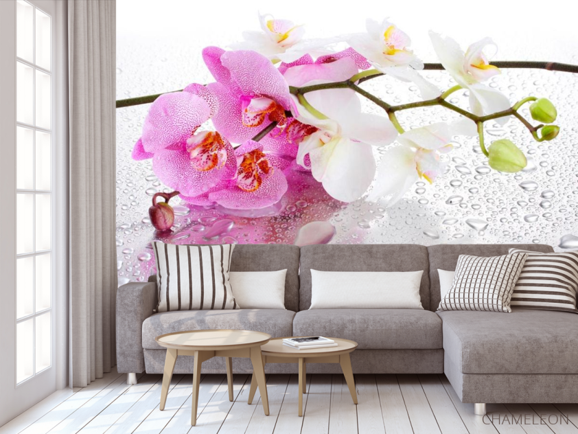 Фотообои Орхидеи розовые и белые - 3