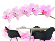 Фотошпалери Відображення орхідей - 1