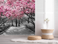 Фотошпалери Рожеві дерева в парку - 2