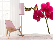 Фотошпалери Гілка бардових орхідей - 4