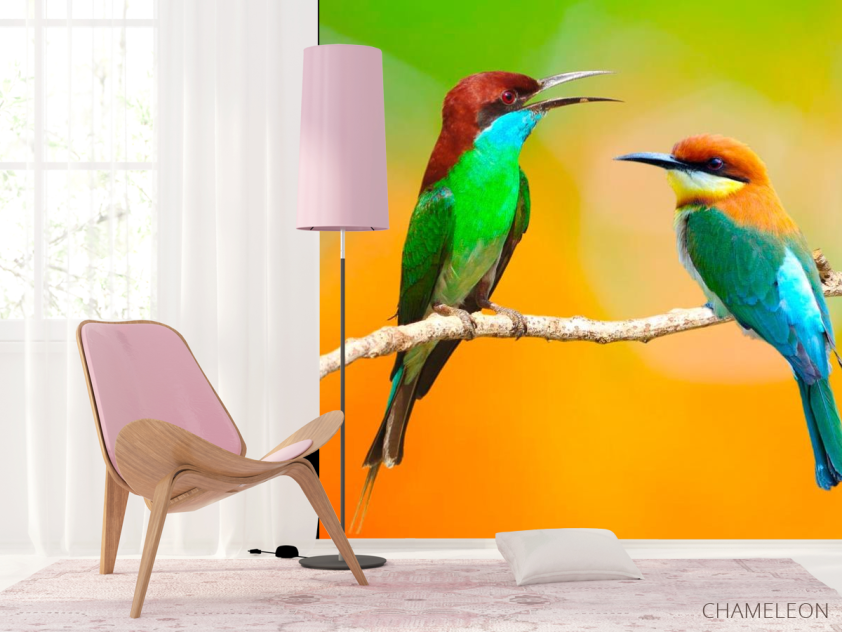 Фотошпалери Колібрі на гілці - 4