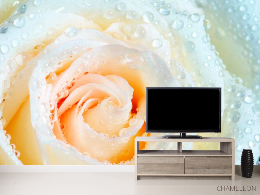 Фотообои Роза бело-бежевая - 2