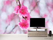 Фотообои Цветущее весной розовым дерево - 2