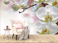 Фотообои Орхидеи - 4