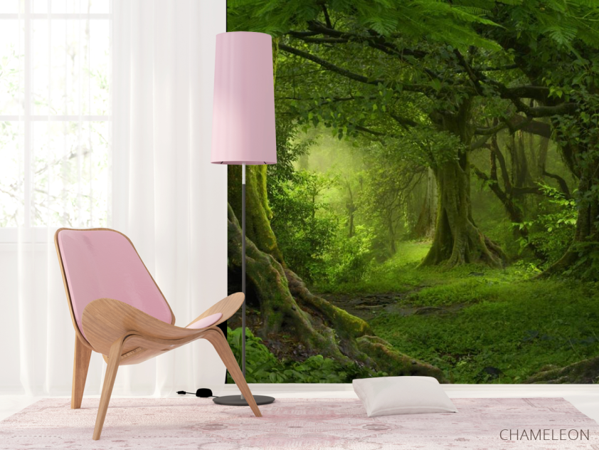 Фотошпалери зелений ліс - 4