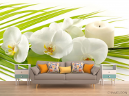 Фотообои Белая орхидея - 1