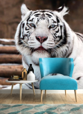 Фотообои Белый тигр - 4