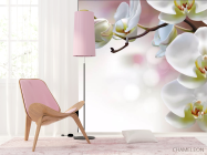 Фотошпалери Орхідеї - 4