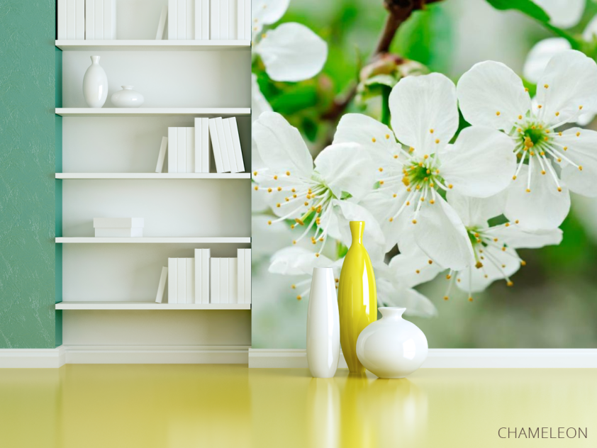 Фотошпалери Фотошпалери цвіте Черешня - 3