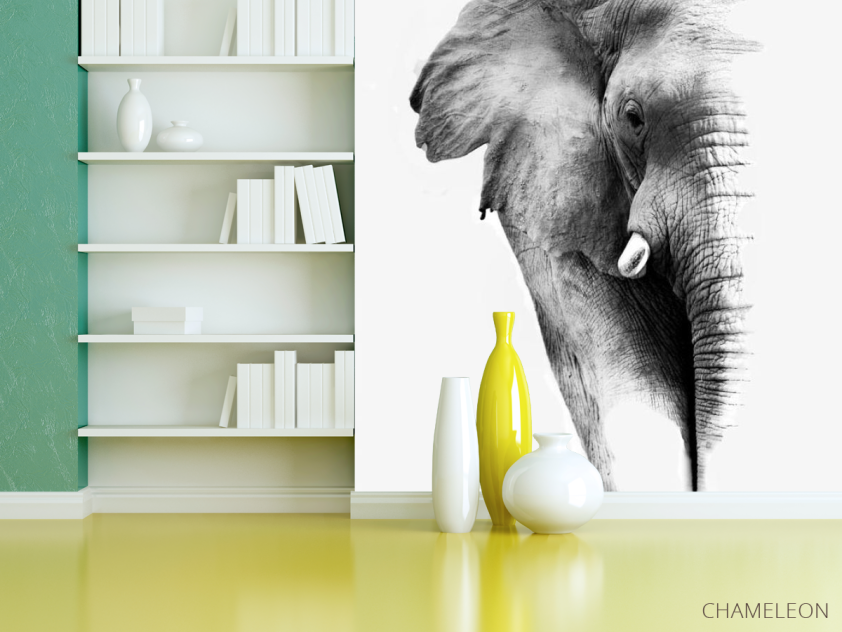 Фотошпалери Слон - 3