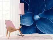 Фотошпалери синій квітка - 4