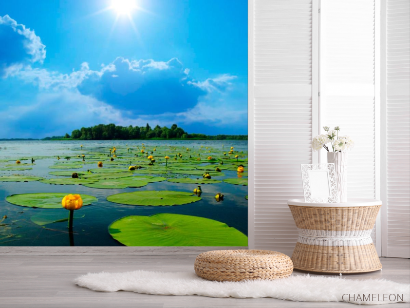 Фотошпалери Річка, хмари, кубушки - 2