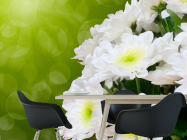 Фотообои Белоснежные цветы - 1