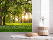 Фотошпалери поляна - 2