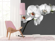 Фотошпалери біла орхідея на сірому тлі - 4