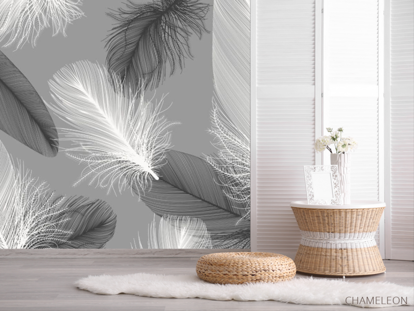 Фотошпалери в стилі Модерн, пір'я - 2