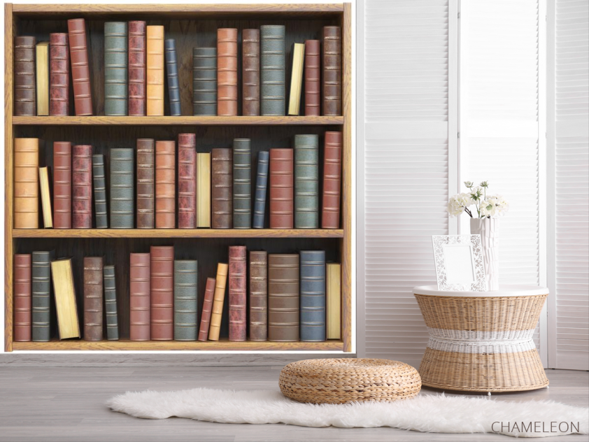 Фотообои книжный шкаф 3полки - 2